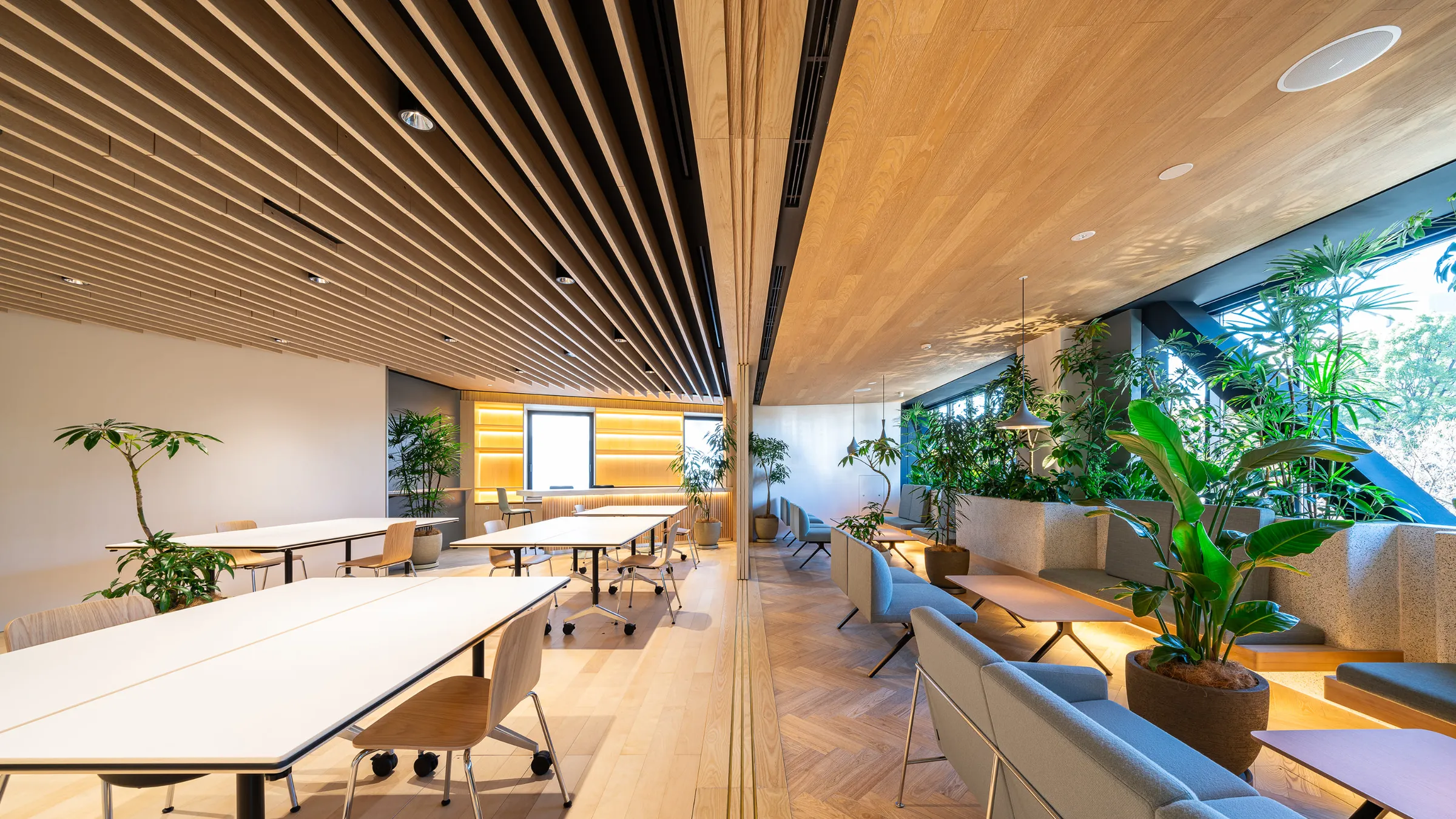 Doctors' Lounge